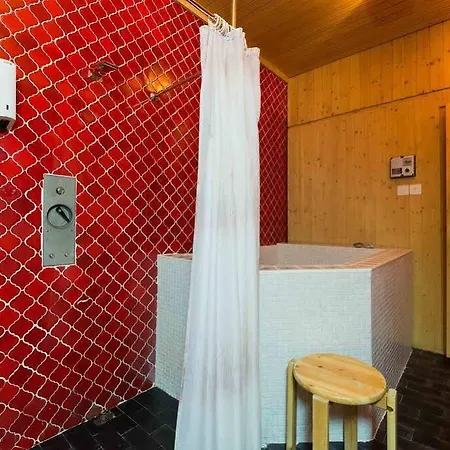 Hotel Swiss Chalet-style Walliser Spycher 3*