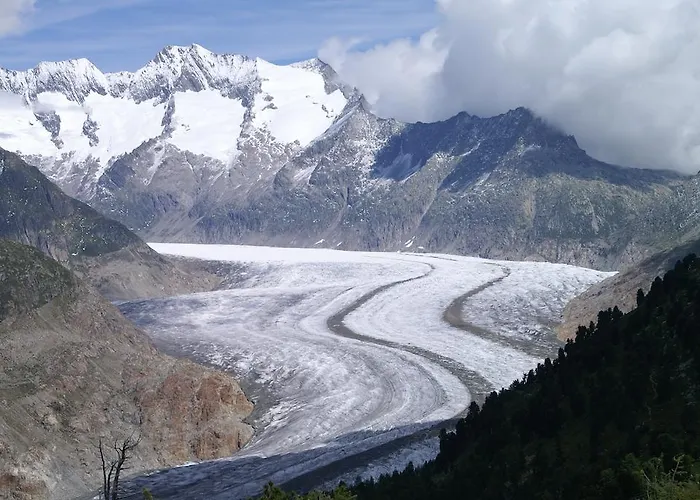 מלון Swiss Chalet-style Walliser Spycher רידראלפ