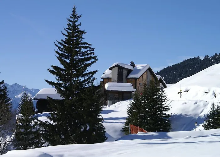 מלון Swiss Chalet-style Walliser Spycher 3*