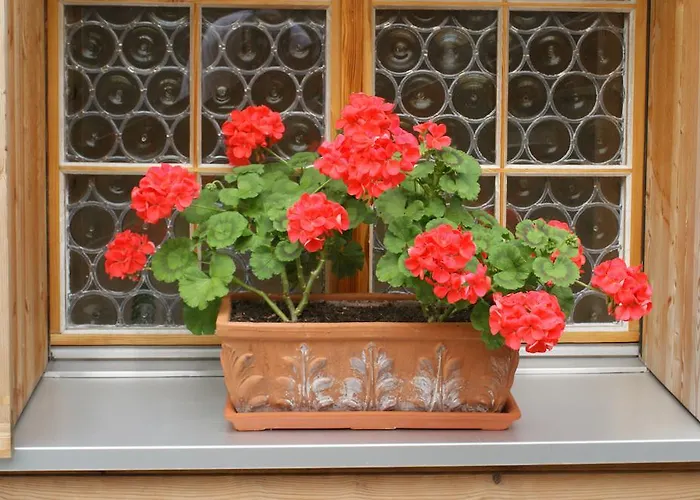 Swiss Chalet-style Walliser Spycher מלון 3*