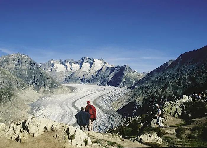 Swiss Chalet-style Walliser Spycher מלון