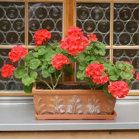 Swiss Chalet-style Walliser Spycher Hotel 3*